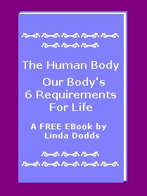 The Human Body Our Body's 6 Requirements For Life